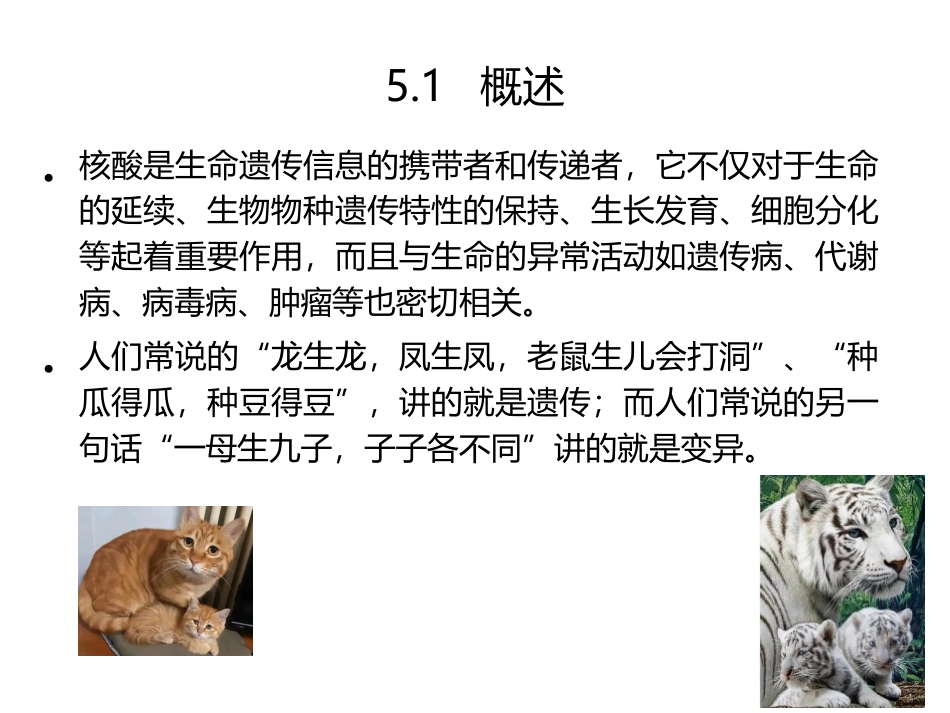 食品生物化学第5版：项目5核酸与食品加工PPT教学课件.pptx_第2页