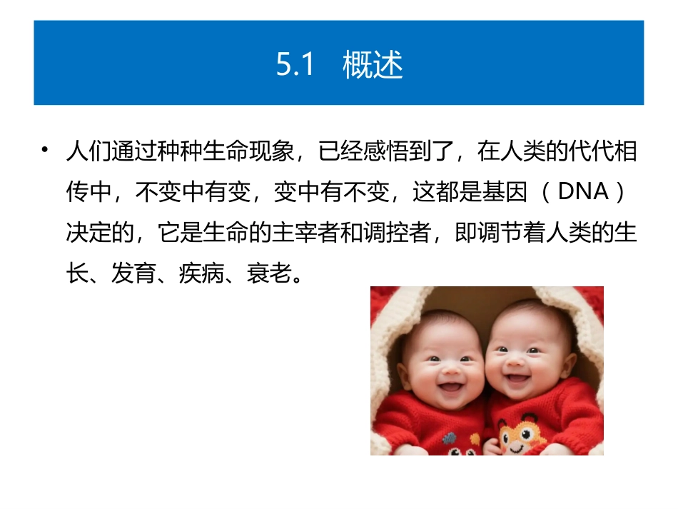 食品生物化学第5版：项目5核酸与食品加工PPT教学课件.pptx_第3页