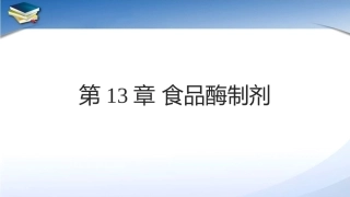 现代食品添加剂：第13章食品酶制剂PPT教学课件.pptx