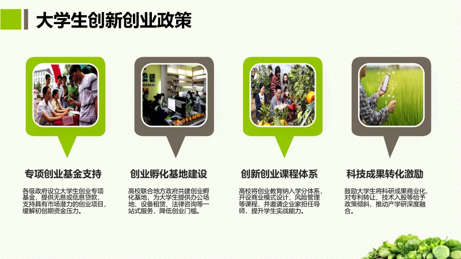 农产品电子商务（第3版）：附录农产品电子商务综合项目PPT教学课件.pptx_第3页