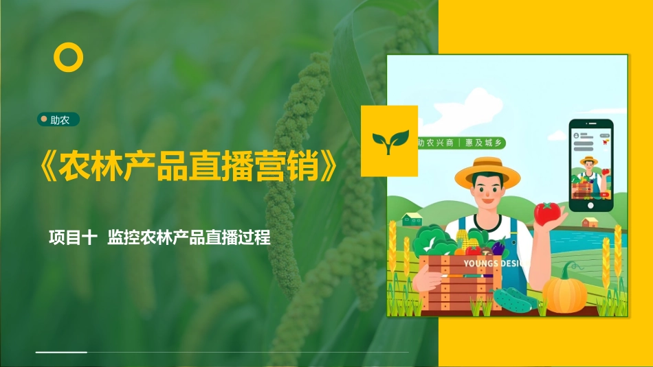 农林产品直播营销：项目10监控农林产品直播过程PPT教学课件.pptx