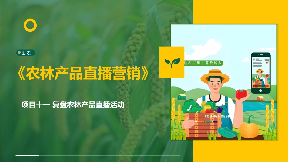 农林产品直播营销：项目11复盘农林产品直播活动PPT教学课件.pptx