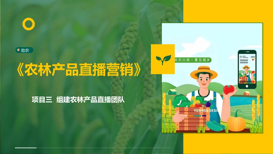 农林产品直播营销：项目3组建农林产品直播团队PPT教学课件.pptx