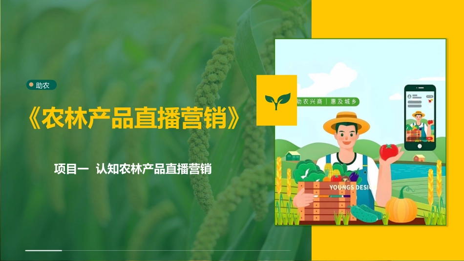农林产品直播营销：项目1认知农林产品直播营销PPT教学课件.pptx