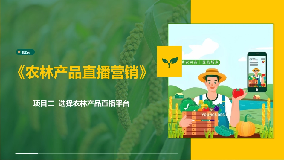 农林产品直播营销：项目2选择农林产品直播平台PPT教学课件.pptx_第1页