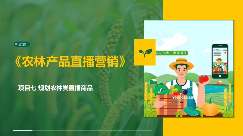 农林产品直播营销：项目7规划农林类直播商品PPT教学课件.pptx