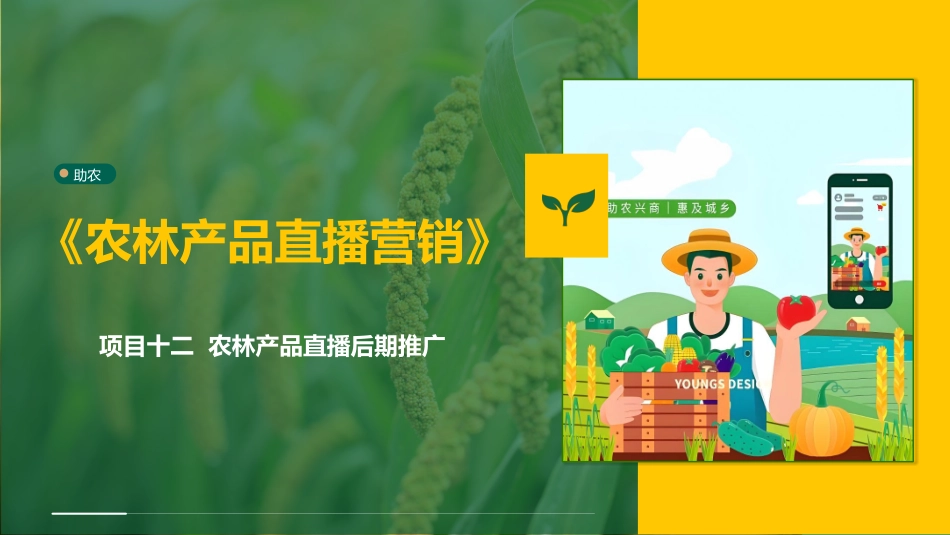 农林产品直播营销：项目12农林产品直播后期推广PPT教学课件.pptx