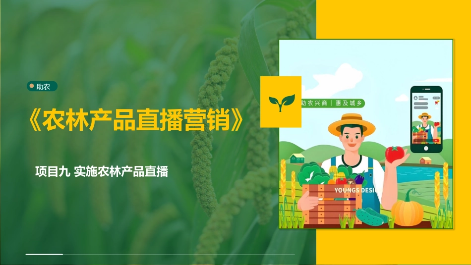 农林产品直播营销：项目9实施农林产品直播PPT教学课件.pptx