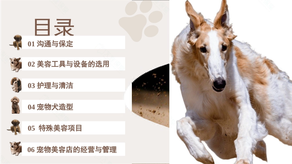 宠物美容与护理：项目一沟通与保定PPT教学课件.pptx_第2页