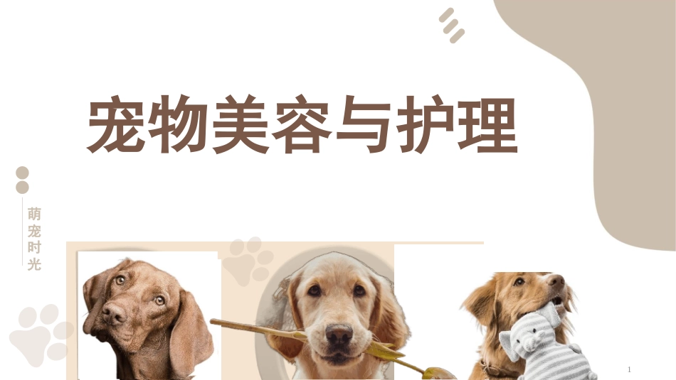 宠物美容与护理：项目一沟通与保定PPT教学课件.pptx