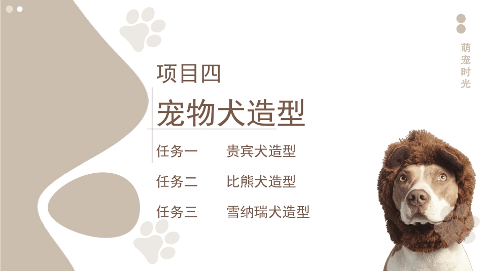 宠物美容与护理：项目四宠物犬造型PPT教学课件.pptx_第3页
