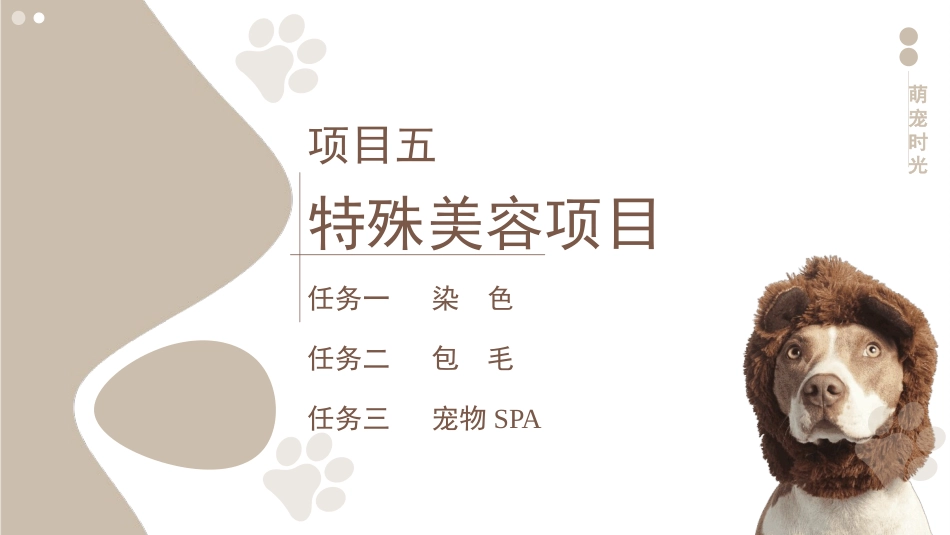 宠物美容与护理：项目五特殊美容项目PPT教学课件.pptx_第3页