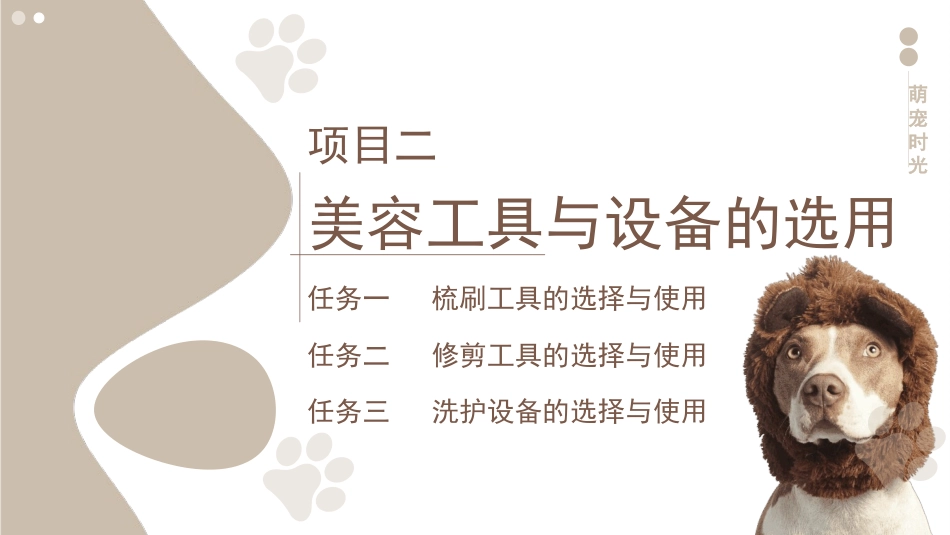 宠物美容与护理：项目二美容工具与设备的选用PPT教学课件.pptx_第3页