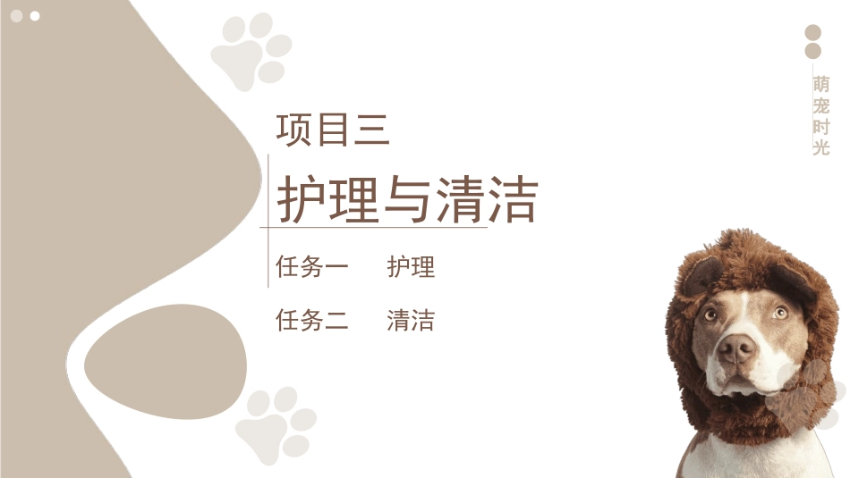 宠物美容与护理：项目三护理与清洁PPT教学课件.pptx_第3页