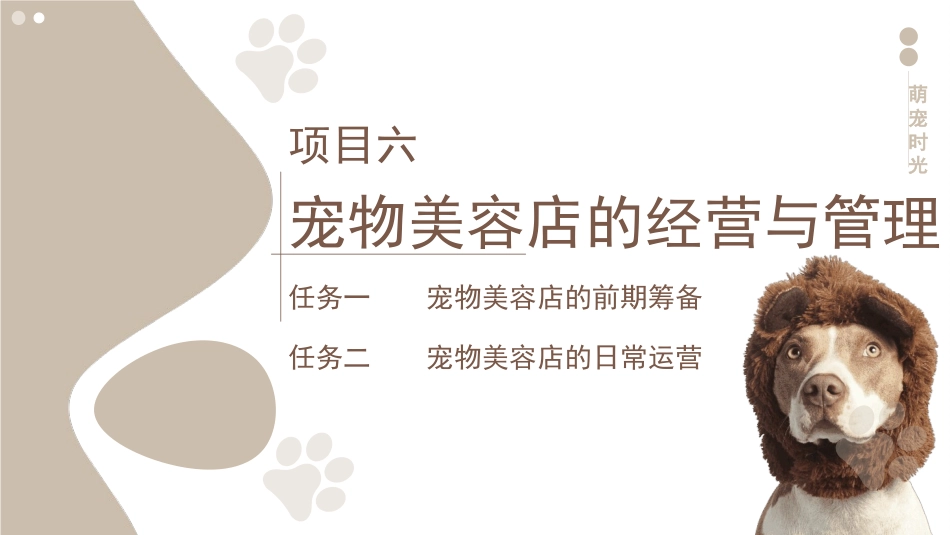 宠物美容与护理：项目六宠物美容店的经营与管理PPT教学课件.pptx_第3页