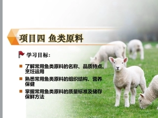 烹饪原料与营养第2版中职：鱼类原料PPT教学课件.pptx