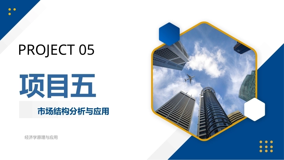 经济学原理与应用：项目5市场结构分析与应用PPT教学课件.ppt_第1页