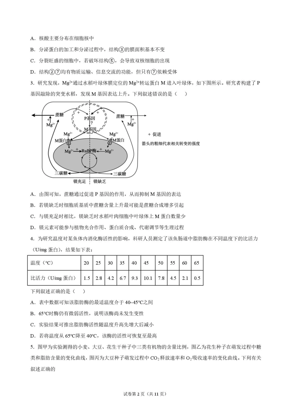 吉林省长春外语学校2027届高三上学期10月阶段检测生物试题+答案.pdf_第2页