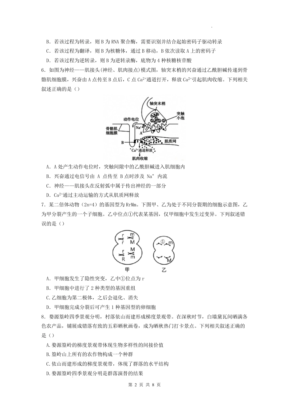 江西抚州市金溪县一中2026-2027学年高三上学期阶段性考试 生物试题+答案.pdf_第2页