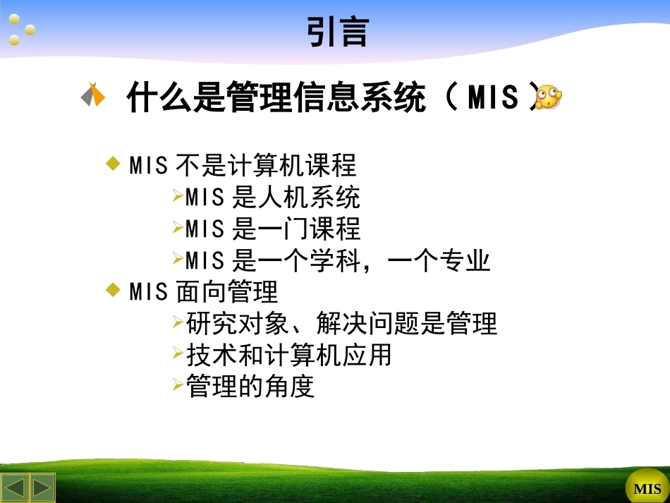 管理信息系统(研究生)全册配套课件3.ppt_第3页