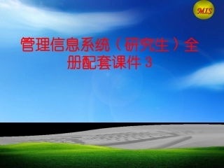 管理信息系统(研究生)全册配套课件3.ppt