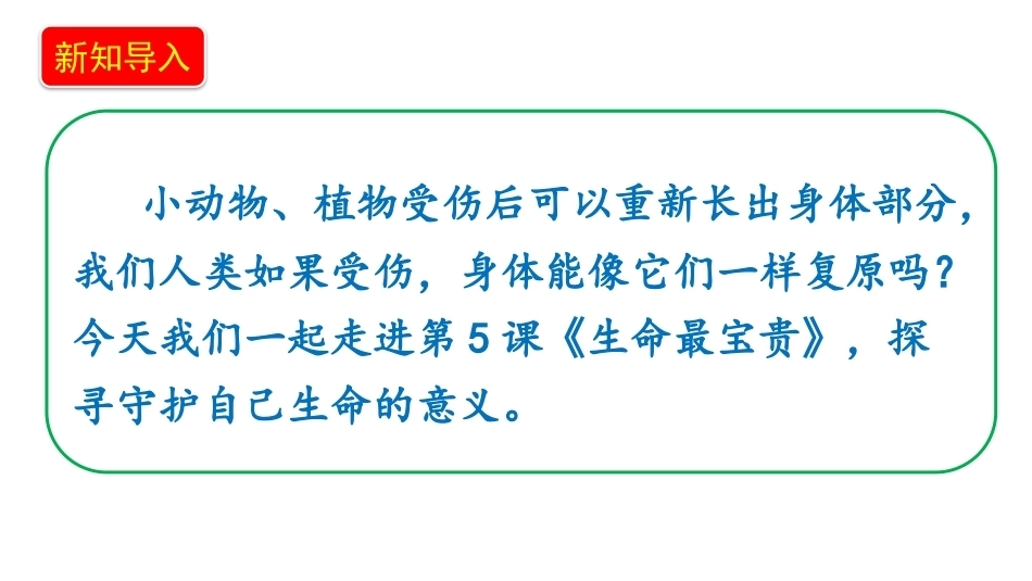 小学道德与法治新部编版四年级上册5.1《生命最宝贵——爱护我们的身体》教学课件（2026秋）.pptx_第3页