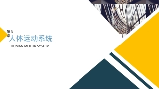 人体工程学（第2版）：第3章人体运动系统PPT教学课件.pptx