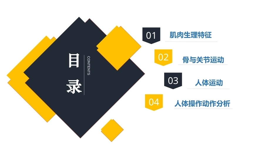 人体工程学（第2版）：第3章人体运动系统PPT教学课件.pptx_第2页