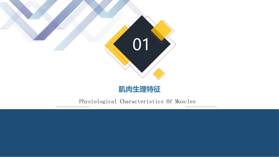 人体工程学（第2版）：第3章人体运动系统PPT教学课件.pptx_第3页