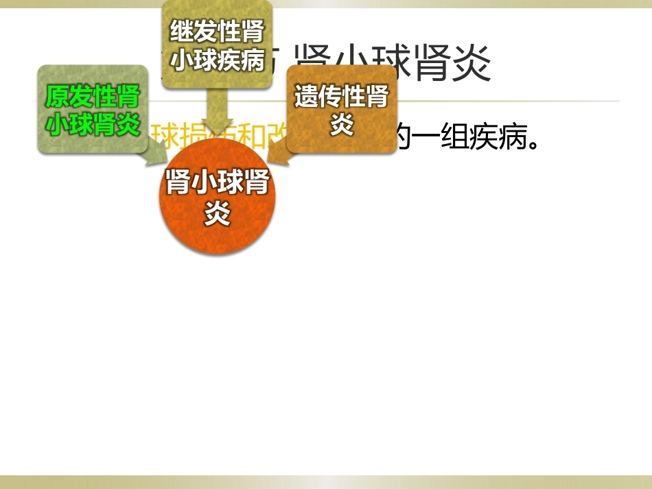 病理学基础（第二版）：泌尿系统疾病PPT教学课件.pptx_第2页