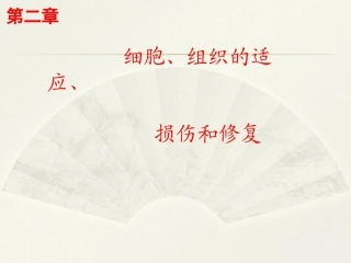 病理学基础（第二版）：细胞、组织的适应、损伤和修复PPT教学课件.pptx