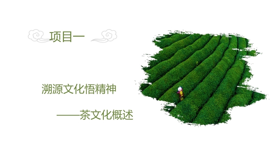 茶文化与茶艺-茶文化概述教学课件.pptx_第2页