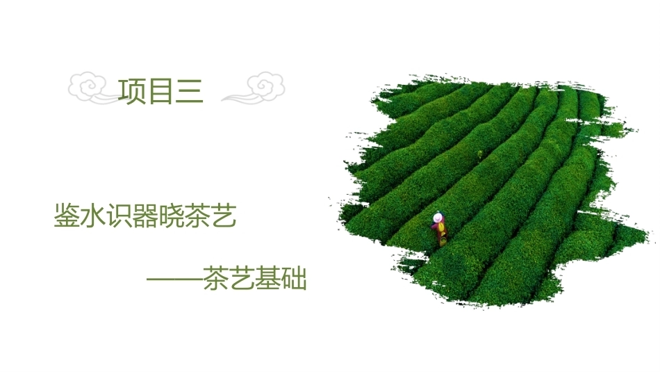 茶文化与茶艺-茶艺基础教学课件.pptx_第2页