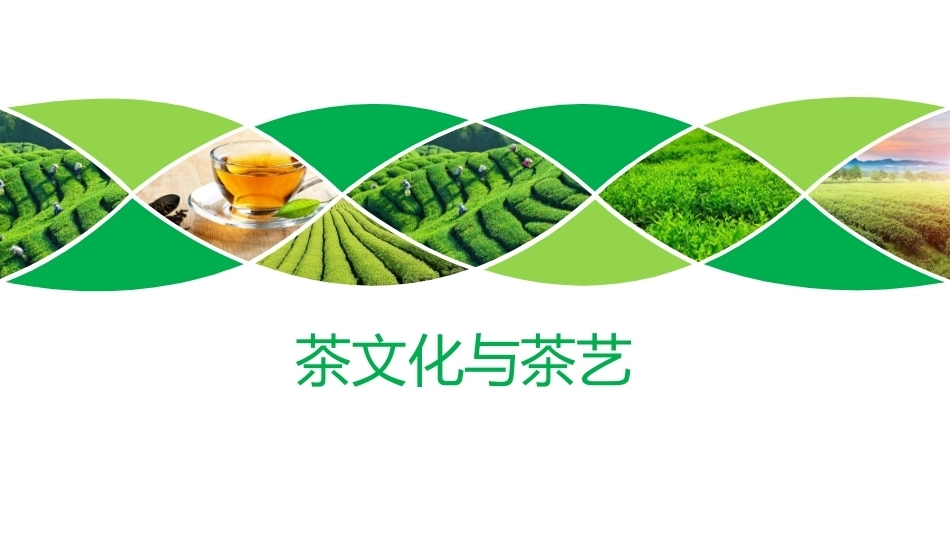 茶文化与茶艺-茶艺礼仪教学课件.pptx_第1页