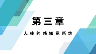 人体工程学：人体的感知觉系统PPT教学课件.pptx