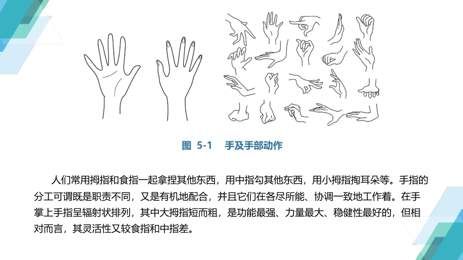 人体工程学：人体工程学与产品设计PPT教学课件.pptx_第3页