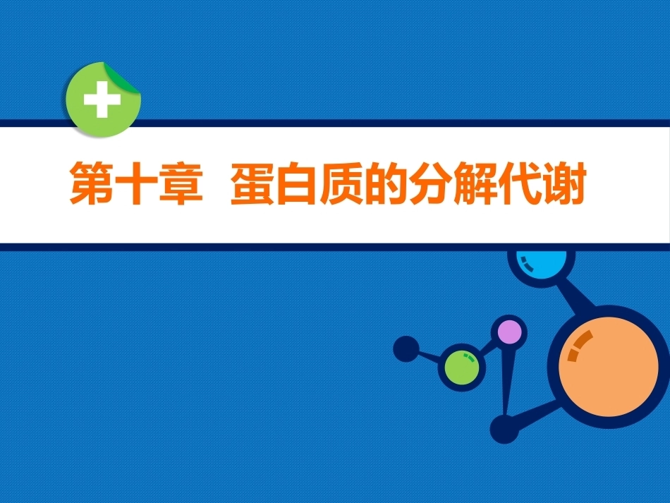 生物化学（高职）：蛋白质的分解代谢PPT教学课件.pptx_第1页