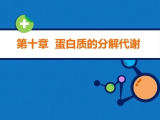 生物化学（高职）：蛋白质的分解代谢PPT教学课件.pptx