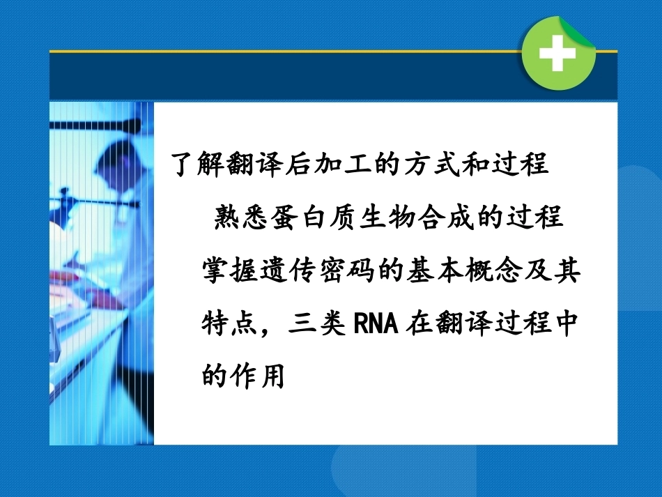 生物化学（高职）：蛋白质的生物合成PPT教学课件.pptx_第3页