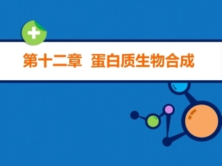 生物化学（高职）：蛋白质的生物合成PPT教学课件.pptx