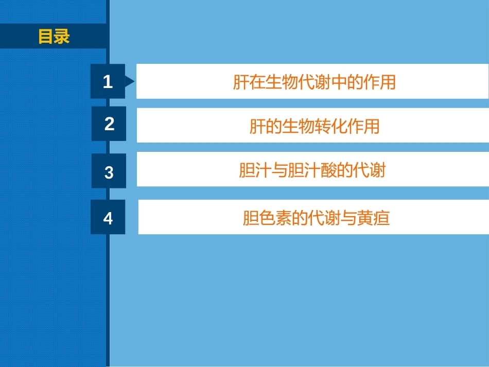 生物化学（高职）：肝脏生物化学PPT教学课件.pptx_第2页