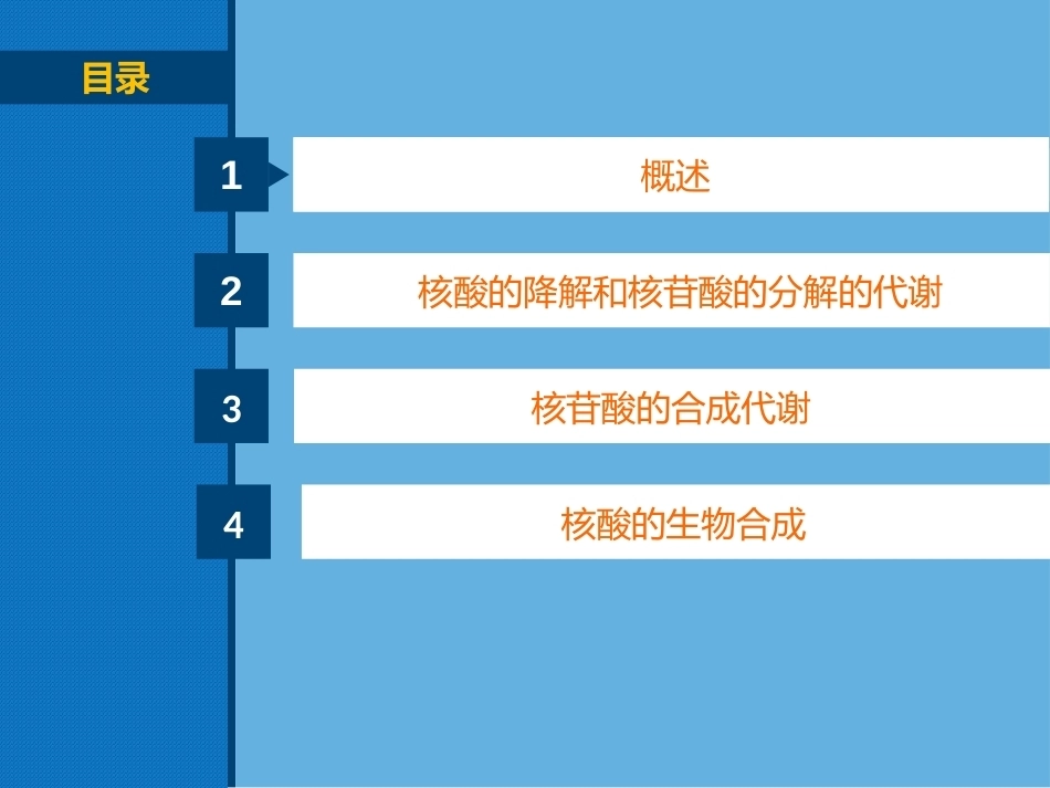 生物化学（高职）：核酸的代谢PPT教学课件.pptx_第2页