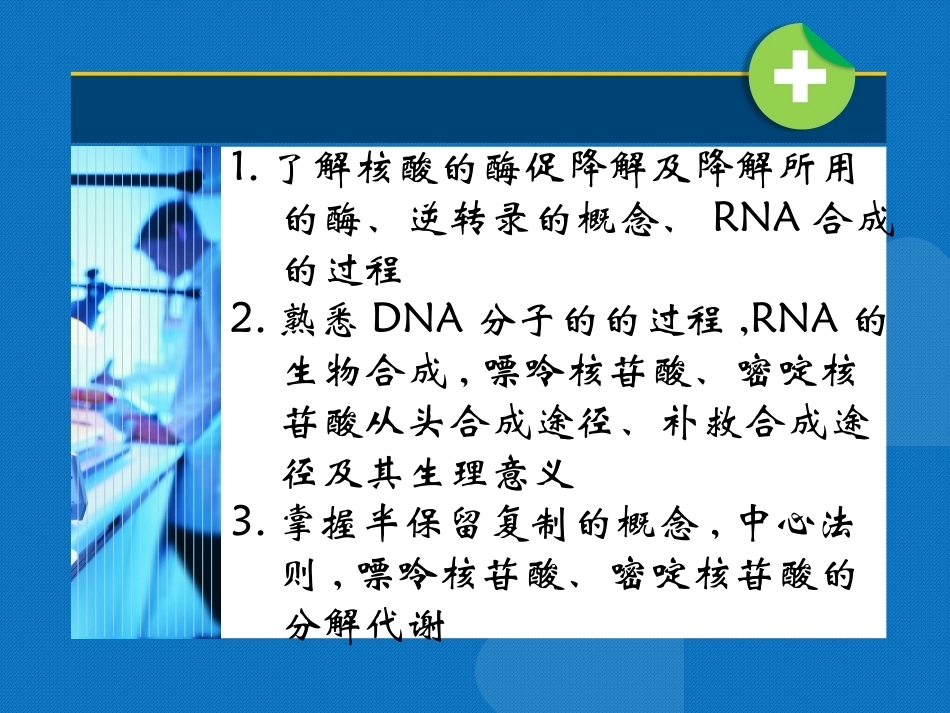 生物化学（高职）：核酸的代谢PPT教学课件.pptx_第3页