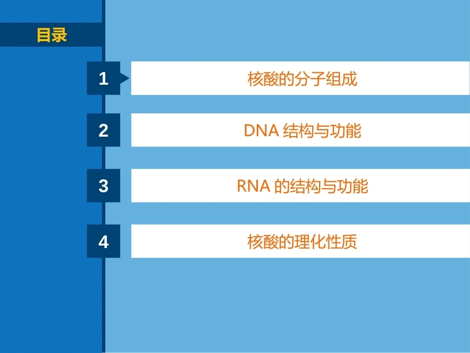 生物化学（高职）：核酸化学PPT教学课件.pptx_第2页