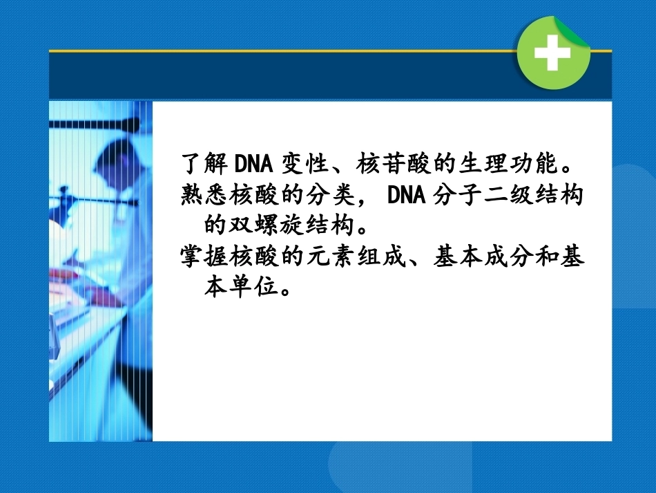 生物化学（高职）：核酸化学PPT教学课件.pptx_第3页