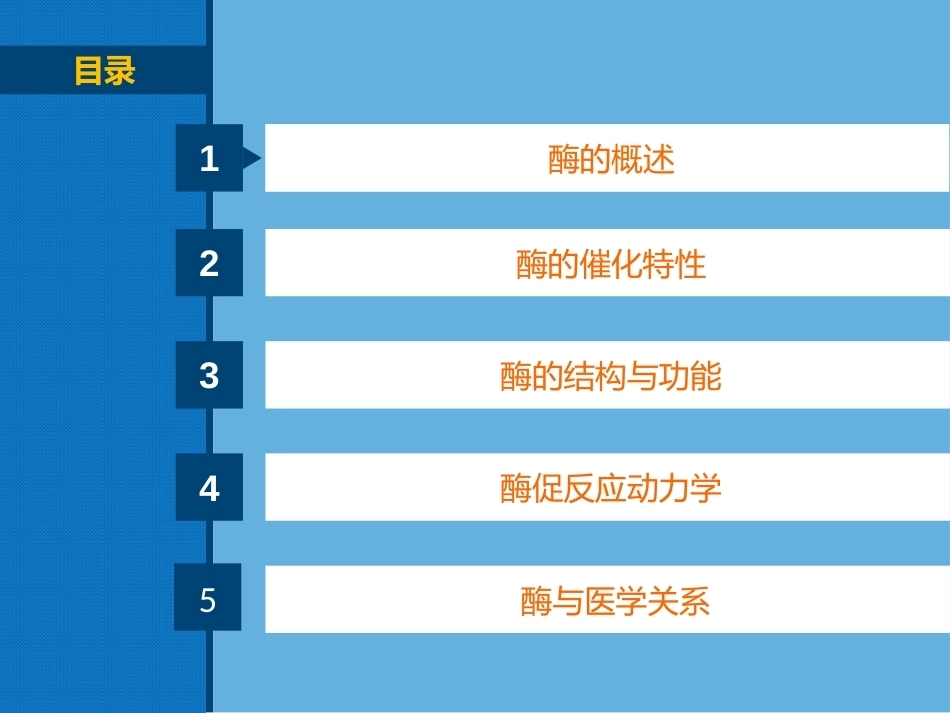 生物化学（高职）：酶PPT教学课件.pptx_第2页