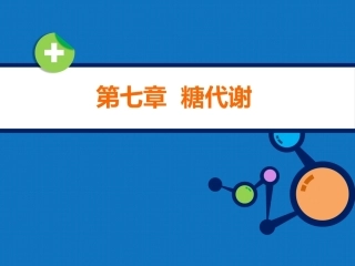 生物化学（高职）：糖代谢PPT教学课件.pptx
