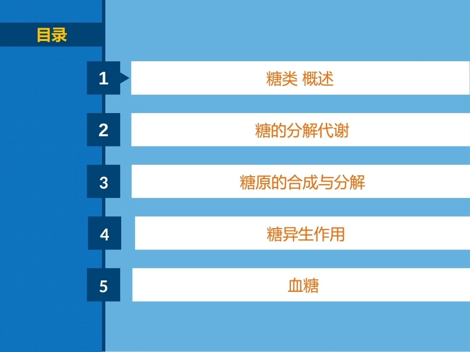 生物化学（高职）：糖代谢PPT教学课件.pptx_第2页