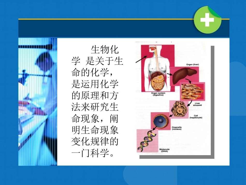 生物化学（高职）：绪论PPT教学课件.pptx_第3页