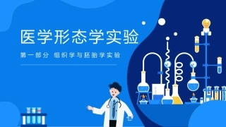 医学形态学实验：组织学与胚胎学实验PPT教学课件.pptx